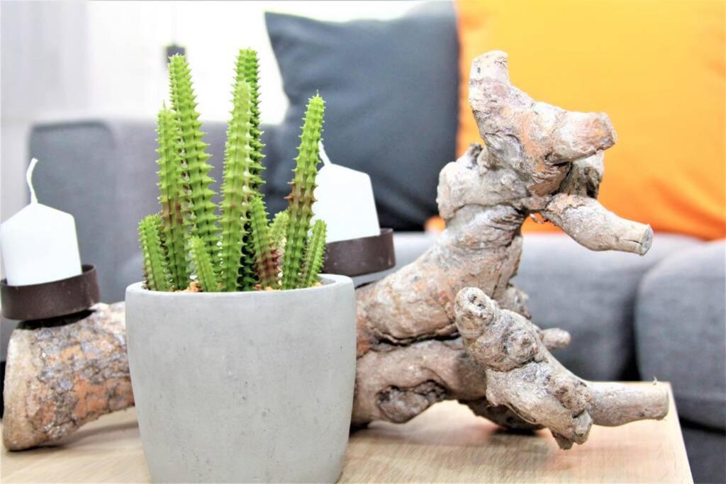Gluecks-Burg Sonne Apartment Gluecksburg Ngoại thất bức ảnh